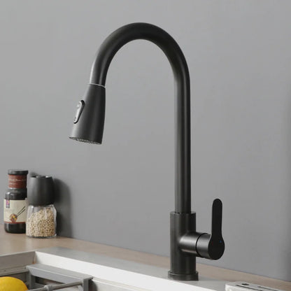 Grifo de Cocina Extraíble de Acero Inoxidable 304 con Rociador