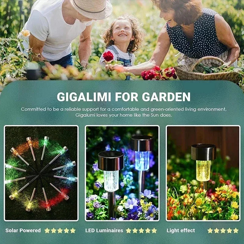 Pack de 10 Luces Solares LED para Jardín Impermeables IP65