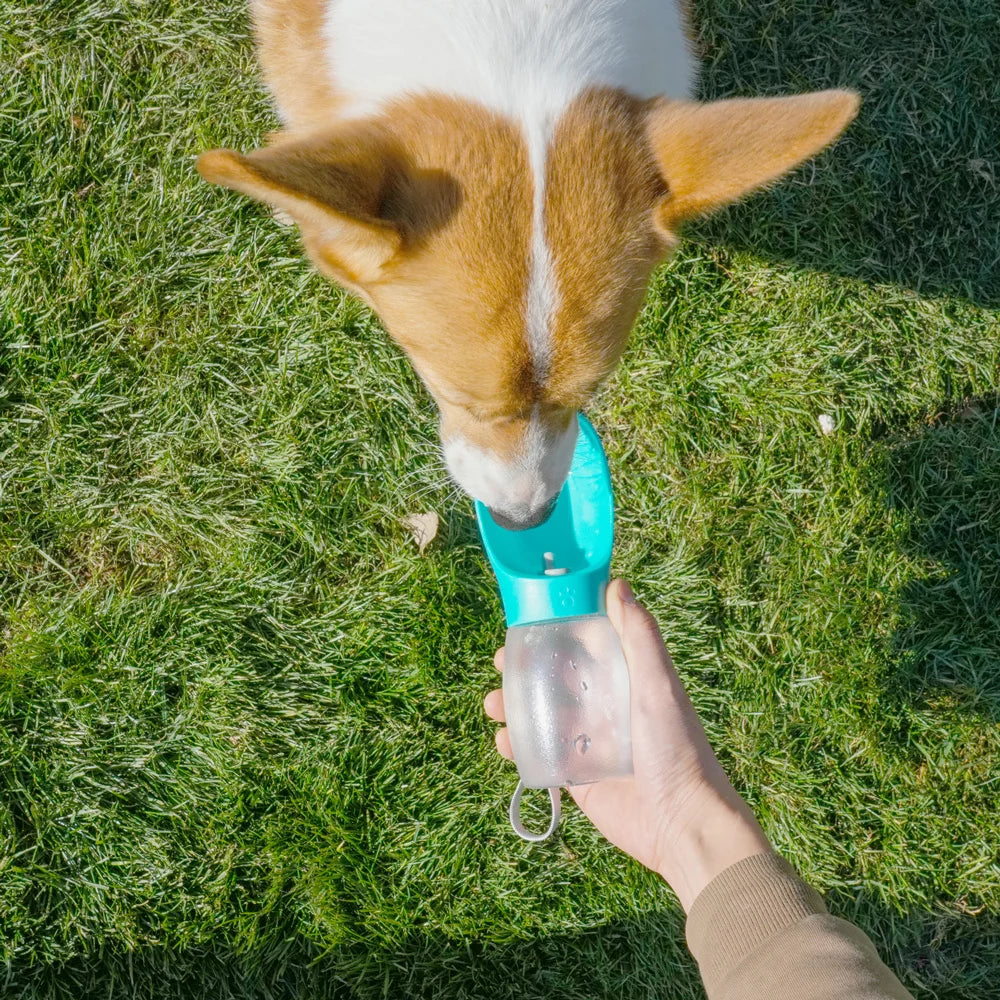 Botella de Agua Portátil para Perros y Gatos con Bebedero 300 ml
